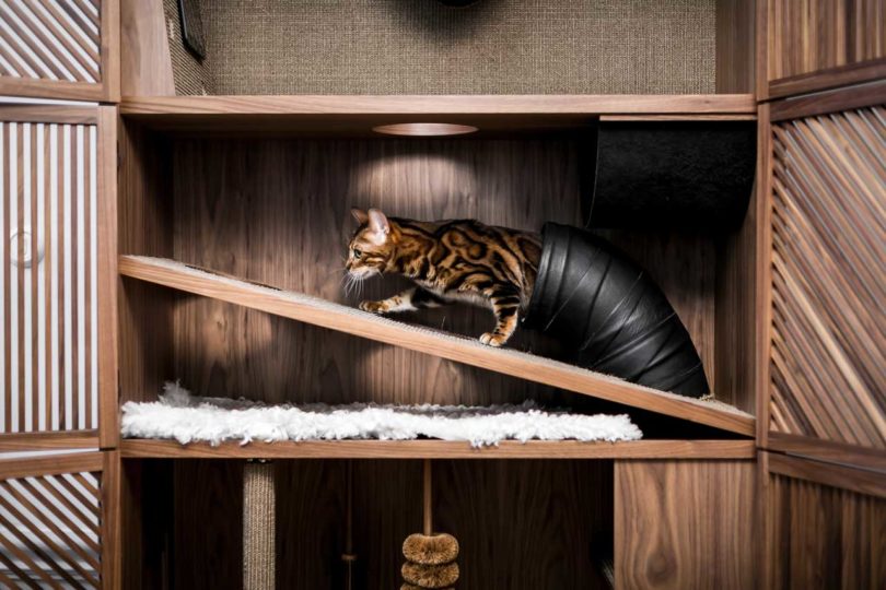 Un mueble para tu gato