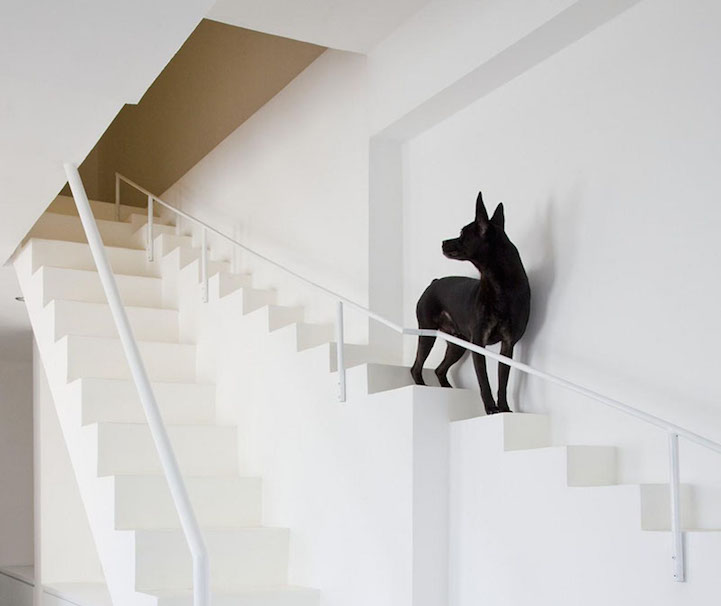 Escaleras para mascotas. Arquitectura que piensa en los animales