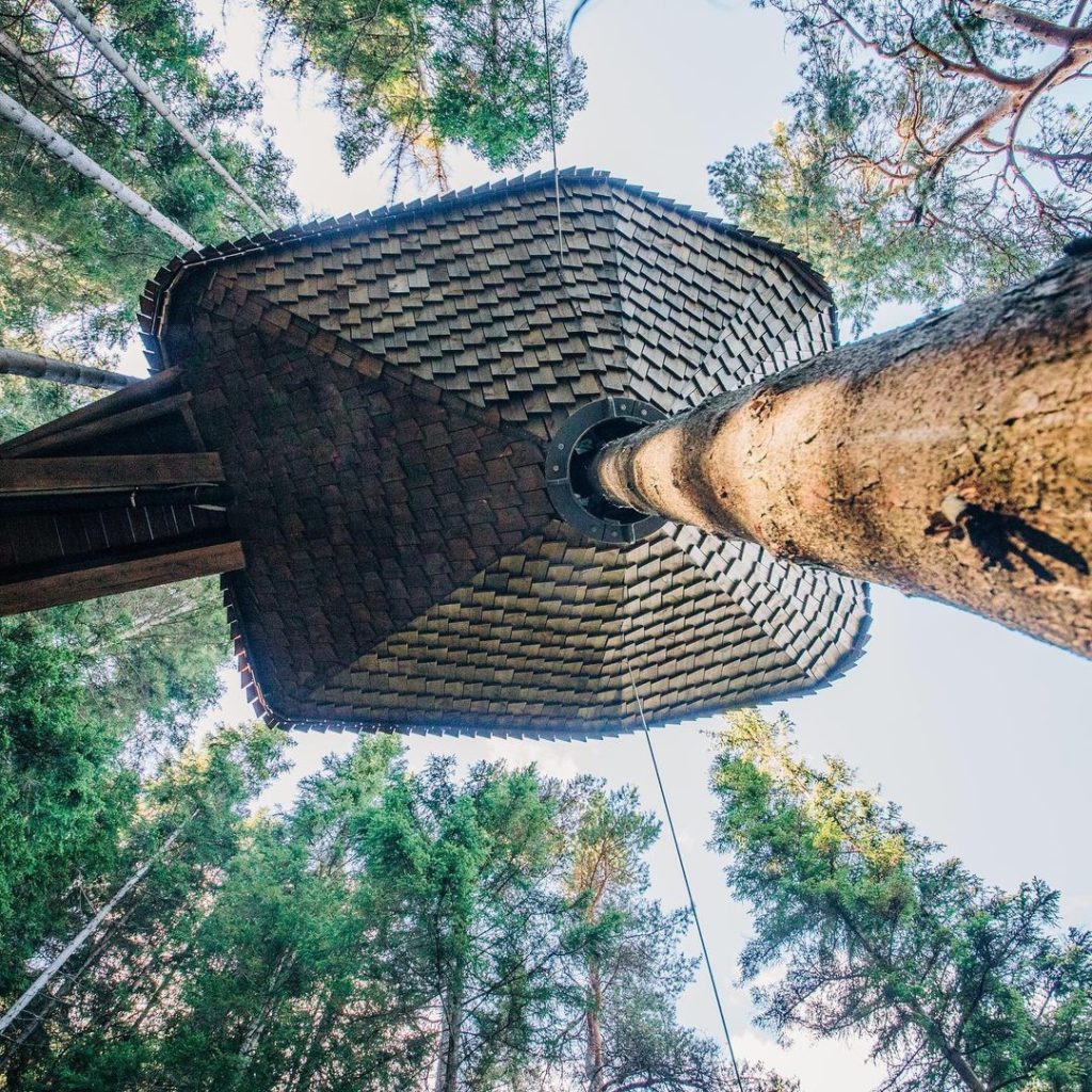 Un refugio construido en un árbol. Noruega
